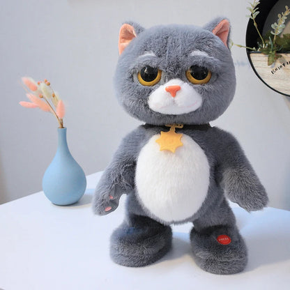Dans Eden Peluş Kedi