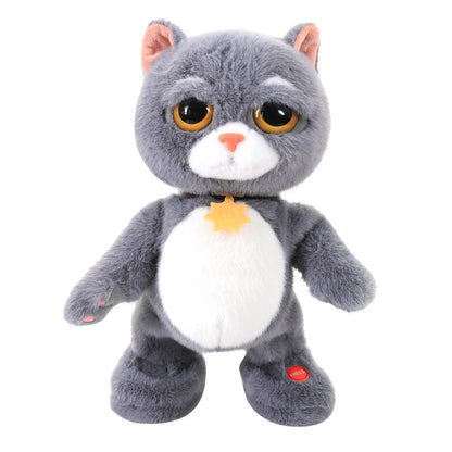 Dans Eden Peluş Kedi
