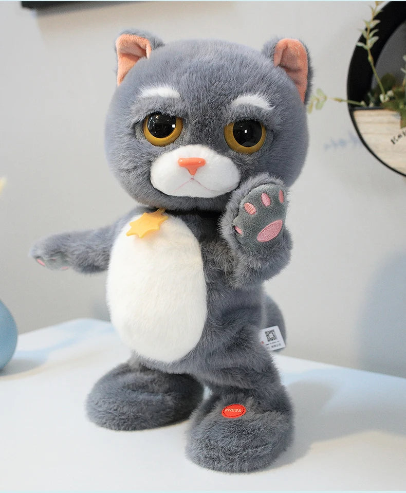 Dans Eden Peluş Kedi