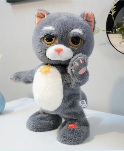 Dans Eden Peluş Kedi